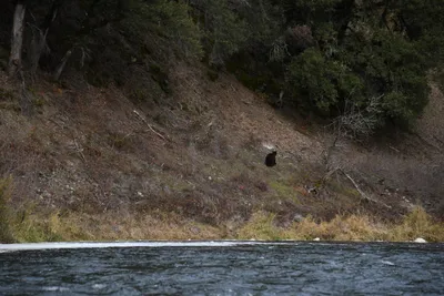 DSC_0198 (Large).JPG